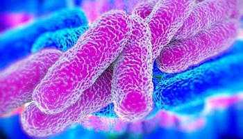 Legionella: Rischi e prevenzione nei luoghi di lavoro