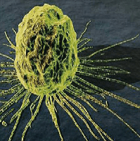 Il 17 Gennaio è entrata in vigore la nuova direttiva cancerogeni